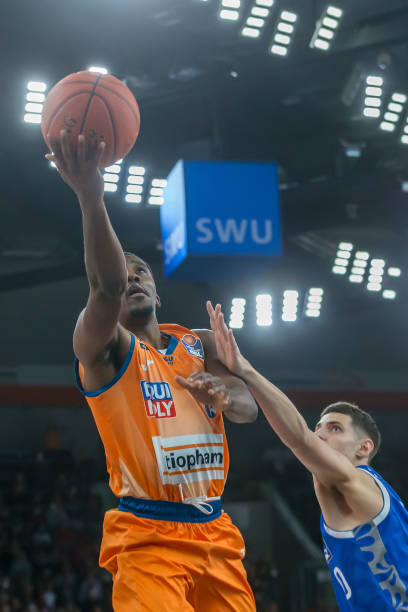 他们展示的 他们展示的