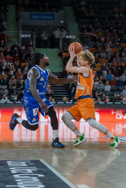 引入国际教 引入国际教